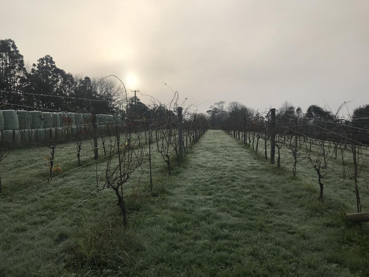 Vineyard Cottages - Kumeu Waimauku Esterno foto