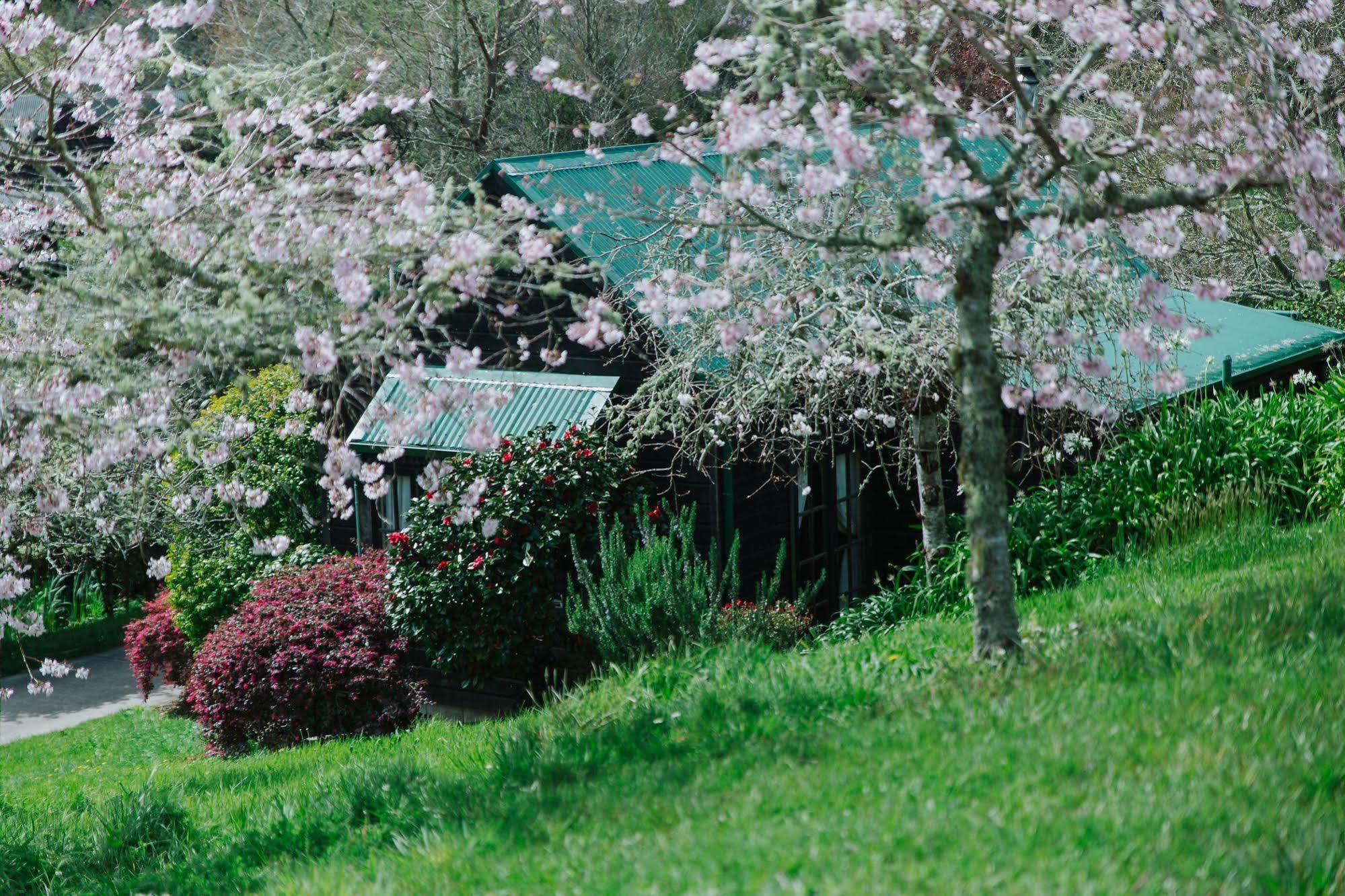 Vineyard Cottages - Kumeu Waimauku Esterno foto